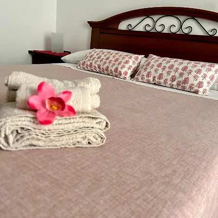 Ohana Oda ve Kahvaltı Marina di Camerota